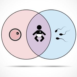 Fertility & Gynecological Acupuncture, Eastern and Western Approach - Carlisle
