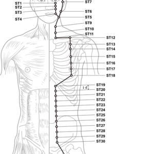 Special Acupuncture Event - What's The Point! - Liverpool