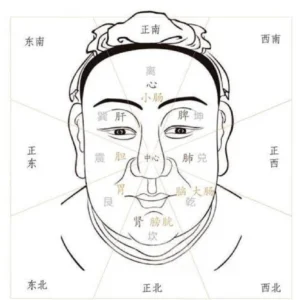 Face Reading & Face Microsystems - Liverpool